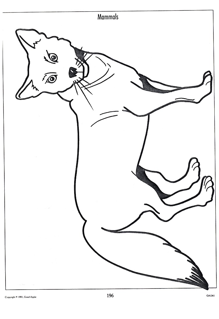 Kolorowanka Ssaki - Edukacyjna Zabawa dla Dzieci kolorowanka do druku